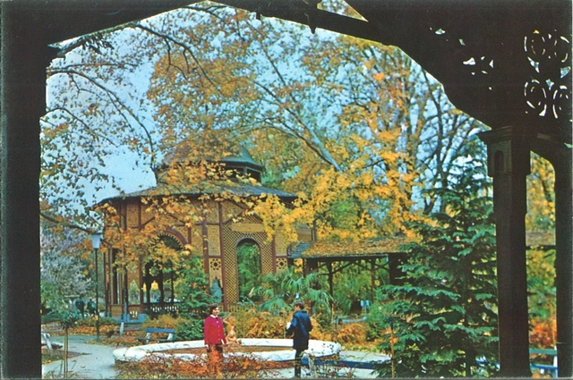 2061-2 - Băile Buziaș